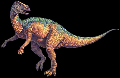 Tenontosaurus.jpg